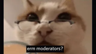 ERM MODERATORS