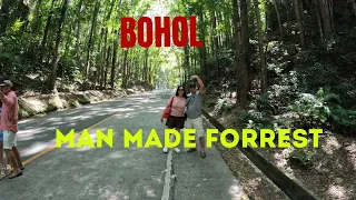 Bohol Man Made Forrest