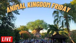 🔴 LIVE: Friday Morning at Disney's Animal Kingdom happy March 10th 2023