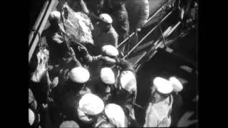 Battleship Potemkin, part I: People and Worms