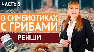 Родник здоровья | О Симбиотиках с грибами. Часть 5. Рейши