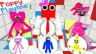 Monster School: DR, POPPY PLAYTIME & DR, RAINBOW FRIEND CHALLENGE - Minecraft Animation