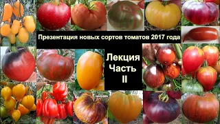 Лекция (Часть II) Презентация новых сортов томатов 2017 года