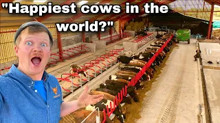 THE WORLDS BEST COW SHED IS OPEN!!