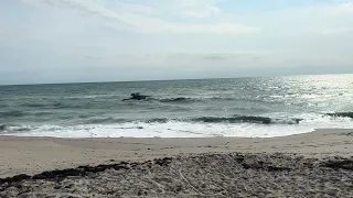 beach view on Monday from coconut beach park,florida @zenbeachseconds