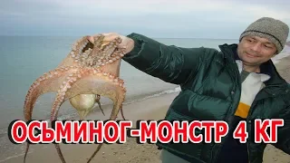 Ловля ОСЬМИНОГА от А до Я