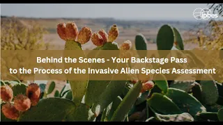 Behind the Scenes - Your Backstage Pass to the Process of the Invasive Alien Species Assessment