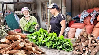 Hien goes to dig cassava to cook pork bran.Harvest vegetables Go to the market to sell/SimplelifeĐH