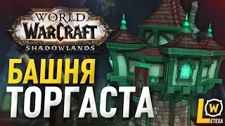 ТОРГАСТ, БАШНЯ ПРОКЛЯТЫХ WOW SHADOWLANDS