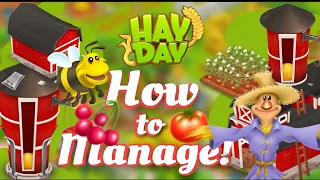 Hay Day - How to Manage: Baby Farms