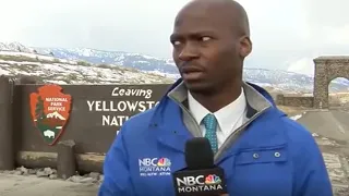 Watch Reporter's Hilarious Reaction to Oncoming Herd of Bison in Viral Clip