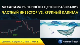 Механизм рыночного ценообразования и участники криптовалютного рынка. Обучение трейдингу: Урок 1