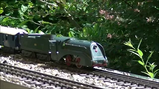 Le Rapide 0 gauge train in the garden