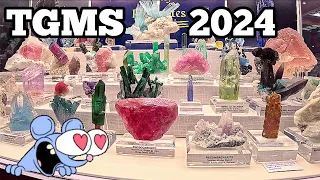 Tucson Gem & Mineral Show! 🥰❤️💎 #gems #crystals #tucsongemshow #tourmaline #pegmatites #beryl #rocks