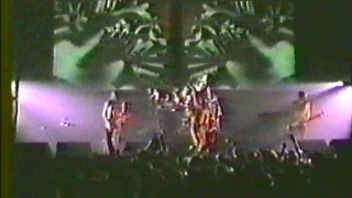 Tool Live in Cleveland November 18 1996 Aenima Tour