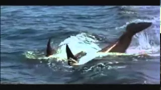 Free willy 2 music video part 1_x264.mp4