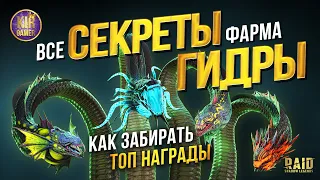 СЛЕДУЙ ЭТИМ СОВЕТАМ И ПОЛУЧАЙ ТОП НАГРАДЫ. БОЛЬШОЙ ГАЙД по ГИДРЕ в RAID Shadow Legends