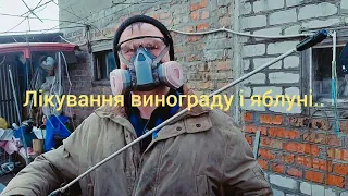 Продовження експерименту..// обприскування винограду і яблунь#