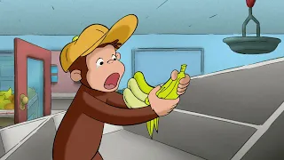 Georges le Petit Singe 🐵 La recherche d'emploi 🐵Saison 1  🐵 Dessins Animés