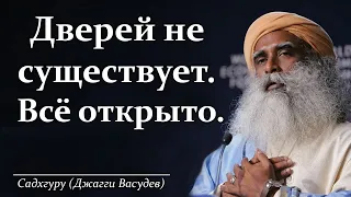 Садхгуру. Мудрые слова, способные перевернуть жизнь. Цитаты и афоризмы