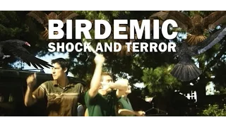 영화 비교 - THE BIRDS VS BIRDEMIC