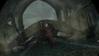 Skyrim VR Catching a Dragon