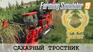 САХАРНЫЙ ТРОСТНИК НА ЗОЛОТОМ КОЛОСЕ - FARMING SIMULATOR 19