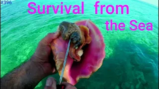 Solo Survival from the Sea in a Small Crooked PilotHouse Boat in from Miami to Bimini Bahamas