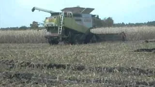 lexion 600 et capello 12 rangs dans les landes