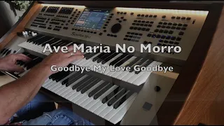 Ave Maria No Morro   Goodbye My Love Goodbye