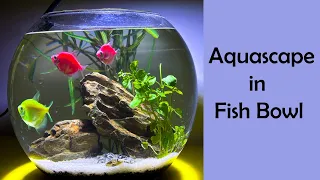 Aquascape in Fish Bowl | Planted Aquarium Setup in Bowl for Beginners