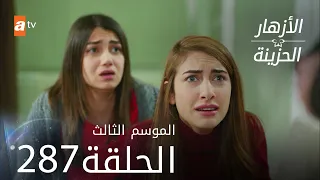 مسلسل الأزهار الحزينة | الحلقة 287 - الموسم الثالث