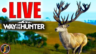 Back Again! | Hunting New Zealand in Way of the Hunter! | Matariki Park LIVE!