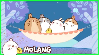 Molang - The Campers | #cutecartoon #funnycartoon Cartoon for kids