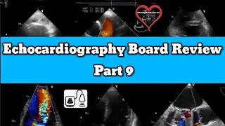 Adult Echocardiography Board Review