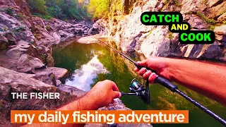 Creek Fishing Adventure was GREAT! | The Fisher's Daily Fishing Videos (CATCH AND COOK)