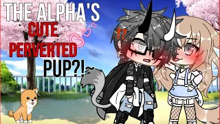🐺~The alpha’s CUTE PERVERTED PUP?!~❤️ GLMM original Gachalife minimovie [GACHA]