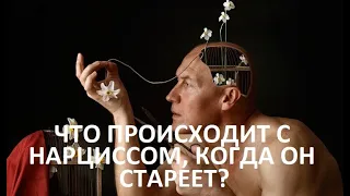 ЧТО ПРОИСХОДИТ С НАРЦИССАМИ, КОГДА ОНИ СТАРЕЮТ?