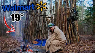 $50 Walmart Survival Challange OVERNIGHT 19°