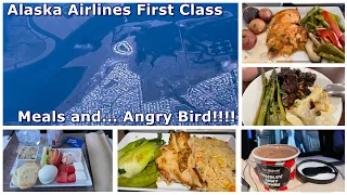 Alaska Airlines First Class EWR-SFO-SEA-FAI-SEA-JFK | Courtyard by Marriott SFO | Angry Bird!!