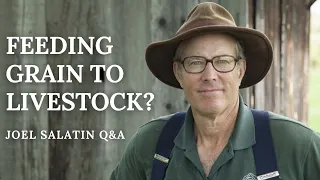 Why Feed Grain to Livestock? Joel Answers a Listener’s Question