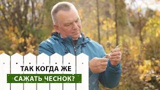 Когда САЖАТЬ ЧЕСНОК? Как получить САМЫЙ ЛУЧШИЙ урожай?