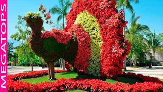 10 Jardines más Bellos del Mundo