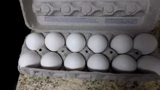 Куриные яйца в США по цене 0.68$ (18 грн) за 12 штук