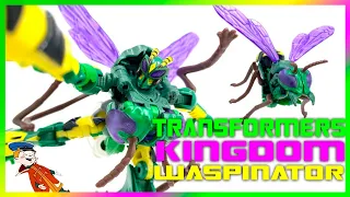 Transformers Kingdom Waspinator review - везучий неудачник из Beast Wars.