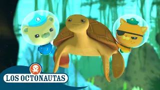 Los Octonautas - Rescate de las tortugas mordedoras marinas | Episodios Completos