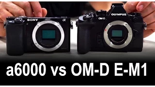 Olympus OM-D E-M1 Compared to Sony a6000 Review and Test of Mirrorless Cameras