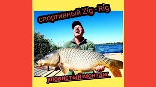 Спортивный монтаж Zig-Rig. Ловля карпа на Зиг-Риг