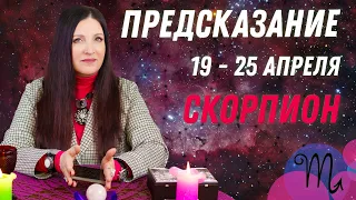 СКОРПИОН - ПРЕДСКАЗАНИЕ с 19 по 25 апреля 2021 от Софии Литвиновой