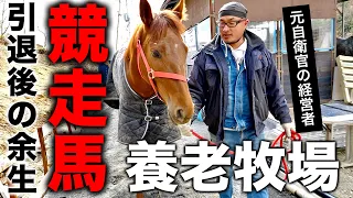 岡山県牛窓町【引退した競走馬が余生を過ごす牧場 】処分される馬を救いたい！